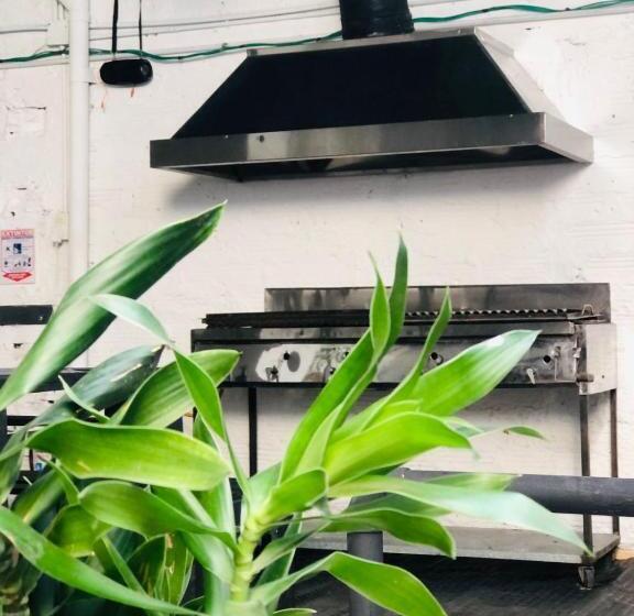 Номер Стандарт, Casa Egos Pop Laureles