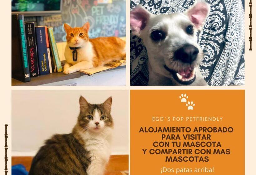 Номер Стандарт, Casa Egos Pop Laureles