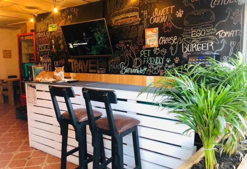 Номер Стандарт, Casa Egos Pop Laureles