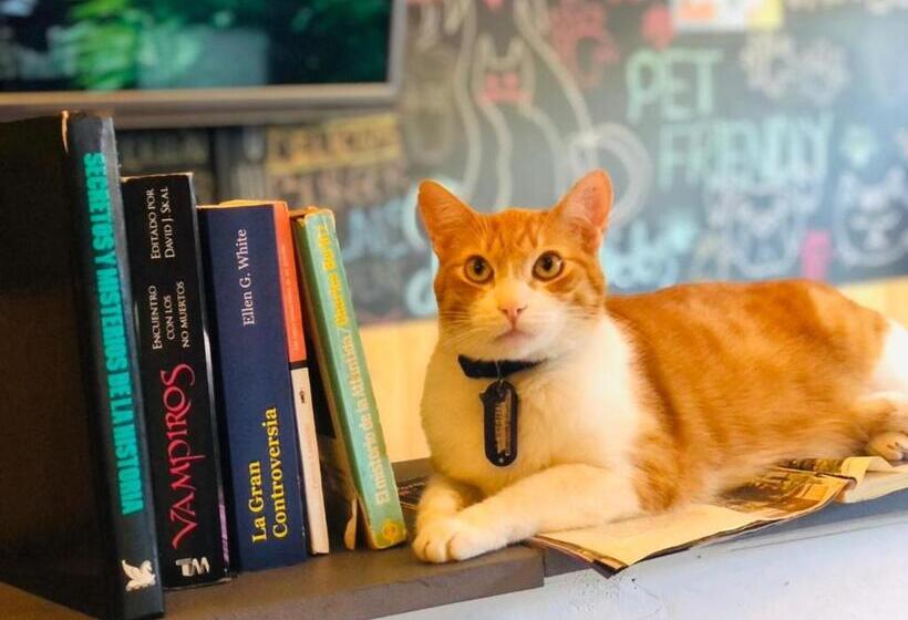 Номер Стандарт, Casa Egos Pop Laureles