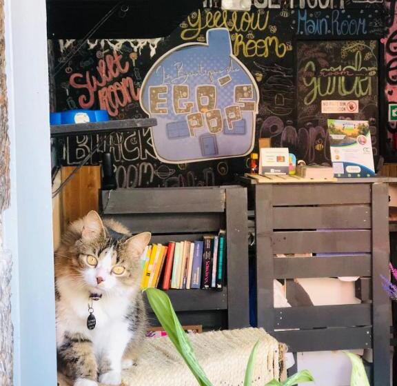 Номер Economy, Casa Egos Pop Laureles