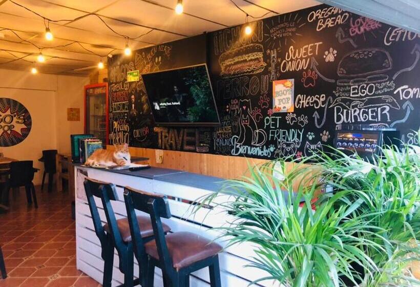 Номер Economy, Casa Egos Pop Laureles