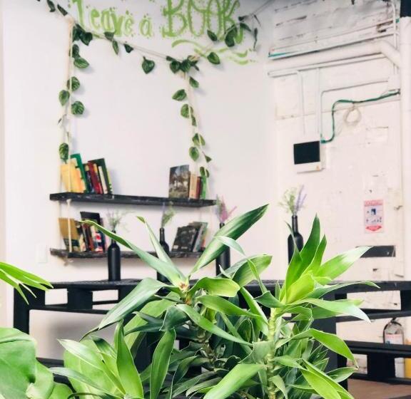 Номер Economy, Casa Egos Pop Laureles