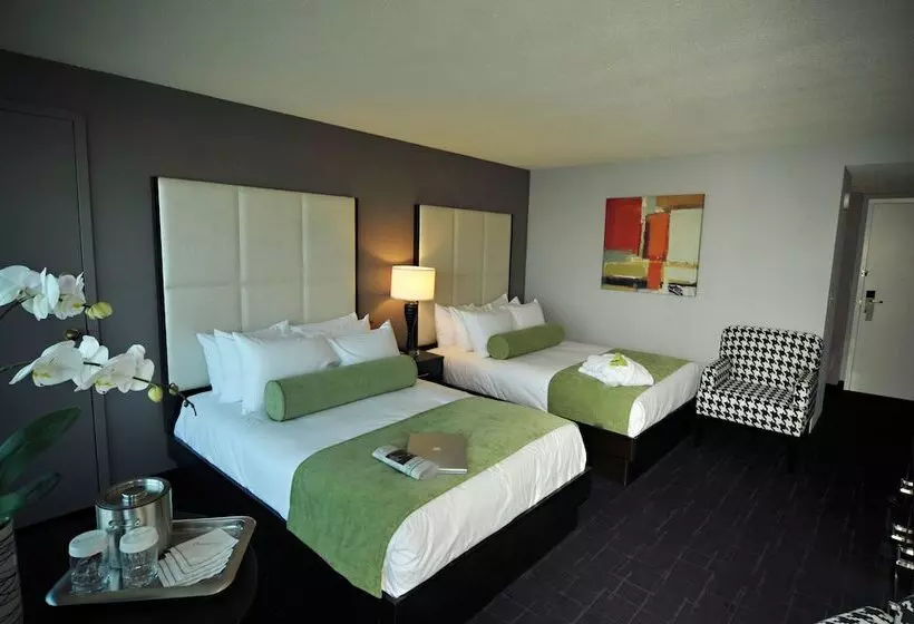 Deluxe-huone, Oyster Point