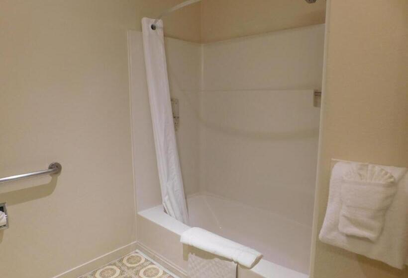 스탠다드 룸 킹사이즈 침대, Pacific Gardens Inn