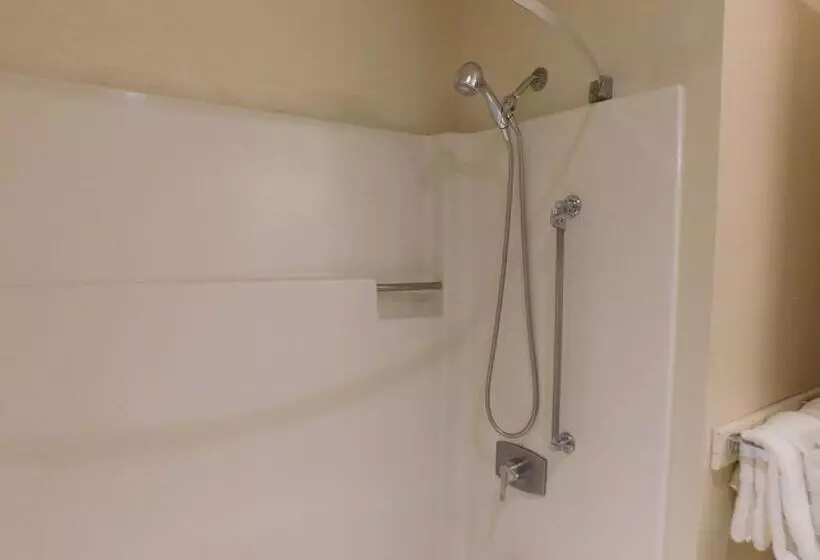 اتاق استاندارد با تخت بزرگ, Pacific Gardens Inn
