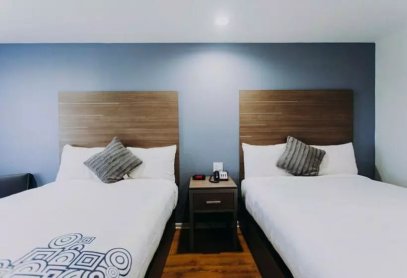 ２ダブルベッドのスタンダードルーム, Scottish Inn & Suites   Kemah Boardwalk