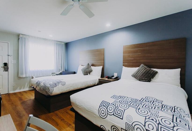 غرفه قياسيه سريرين مزدوجين, Scottish Inn & Suites   Kemah Boardwalk