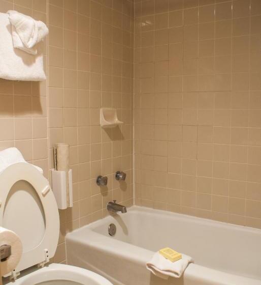 اتاق استاندارد با تخت بزرگ, Place D Armes