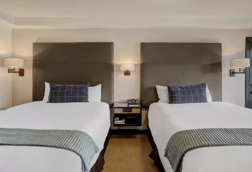 اتاق سوپریور, The Pines Lodge, A Rockresort