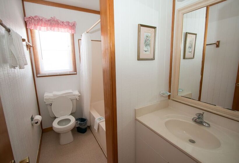 غرفه قياسيه سريرين مزدوجين, Outer Banks Motel