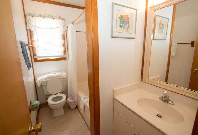 غرفه قياسيه سريرين مزدوجين, Outer Banks Motel