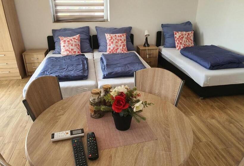 4인용 스탠다드 룸, Birs Vendégház