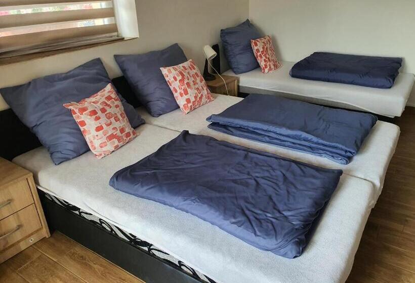 4인용 스탠다드 룸, Birs Vendégház