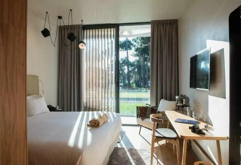Standard Room with Views