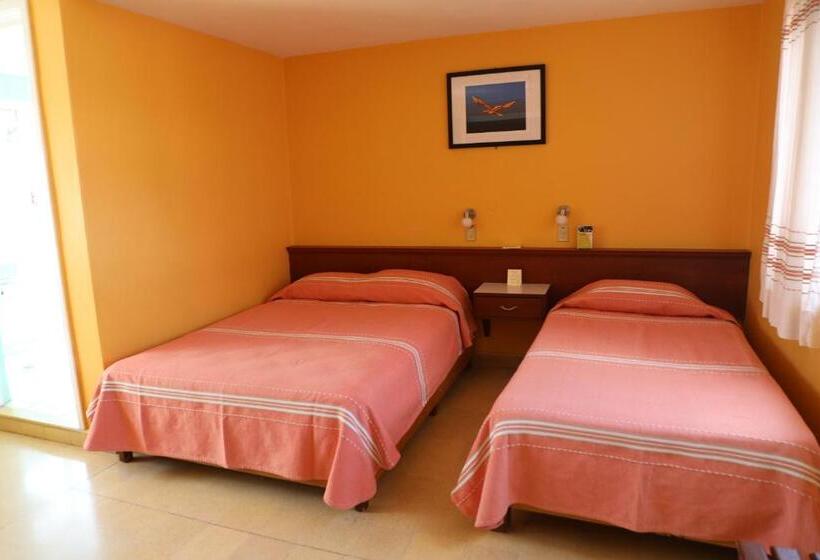 Номер Basic, Belisana