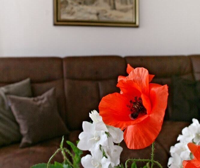 منزل غرفة نوم واحدة, Paltian Ferienhäuser