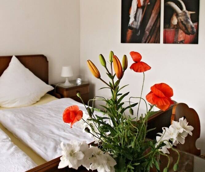 منزل غرفة نوم واحدة, Paltian Ferienhäuser