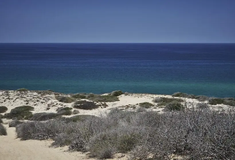 海の見えるダブルベッドスタンダードルーム, Four Seasons Resort Los Cabos