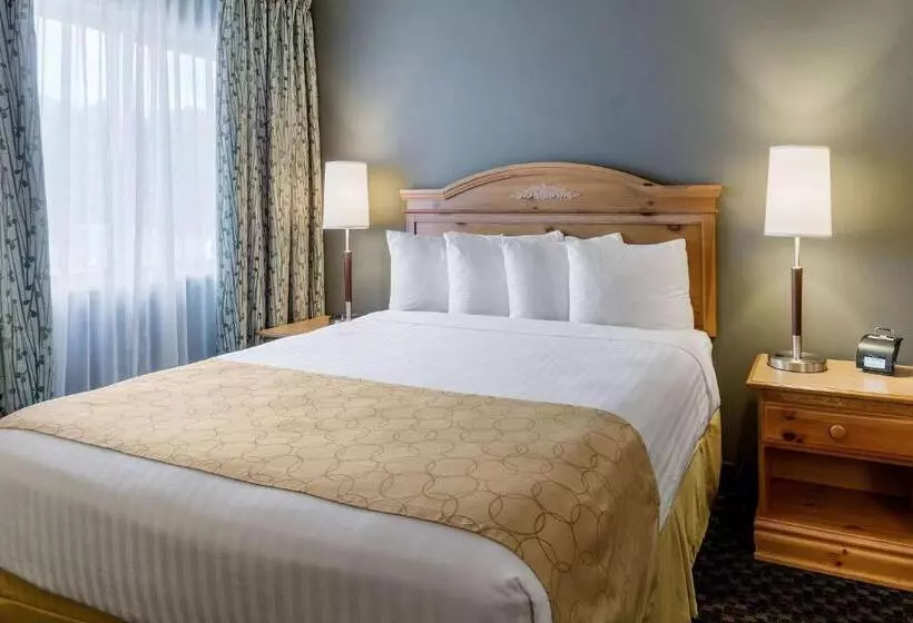 スタンダードルーム, Clarion Inn Seekonk   Providence