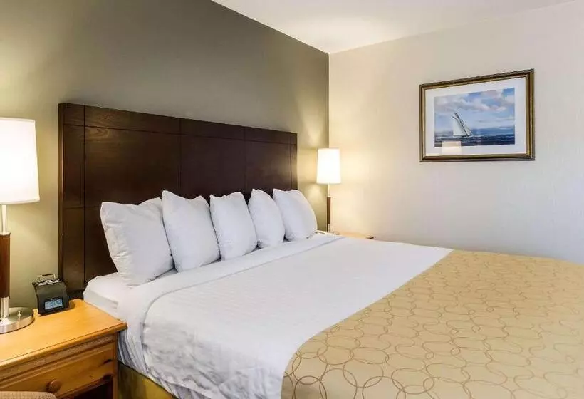 キングサイズベッドのスタンダードルーム, Clarion Inn Seekonk   Providence
