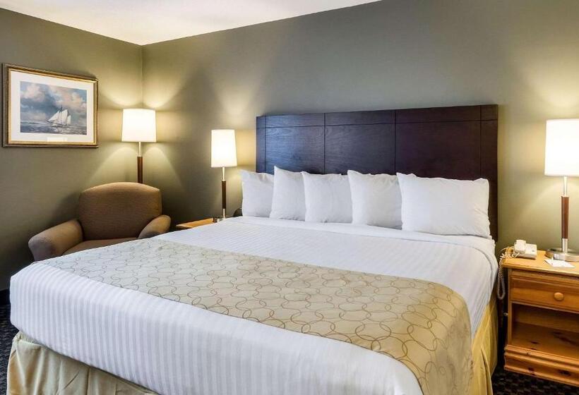 キングサイズベッドのスタンダードルーム, Clarion Inn Seekonk   Providence