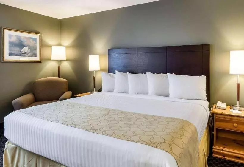 キングサイズベッドのスタンダードルーム, Clarion Inn Seekonk   Providence