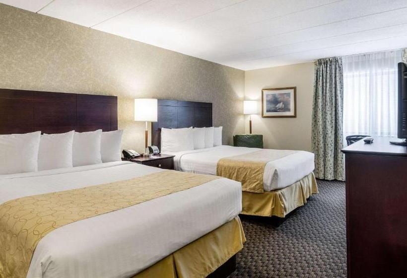 Номер бизнес-класса, Clarion Inn Seekonk   Providence