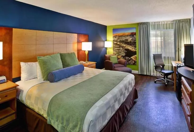 身障者適用キングサイズベッドルーム, Clarion Inn Seekonk   Providence