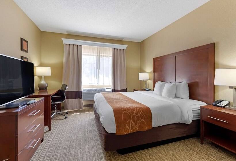 جناح, Comfort Suites Lakewood   Denver