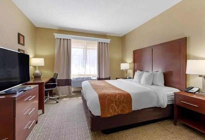 スイート, Comfort Suites Lakewood   Denver