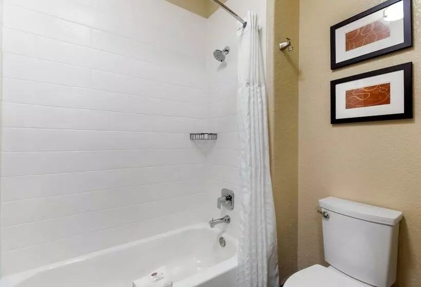 スイート, Comfort Suites Lakewood   Denver