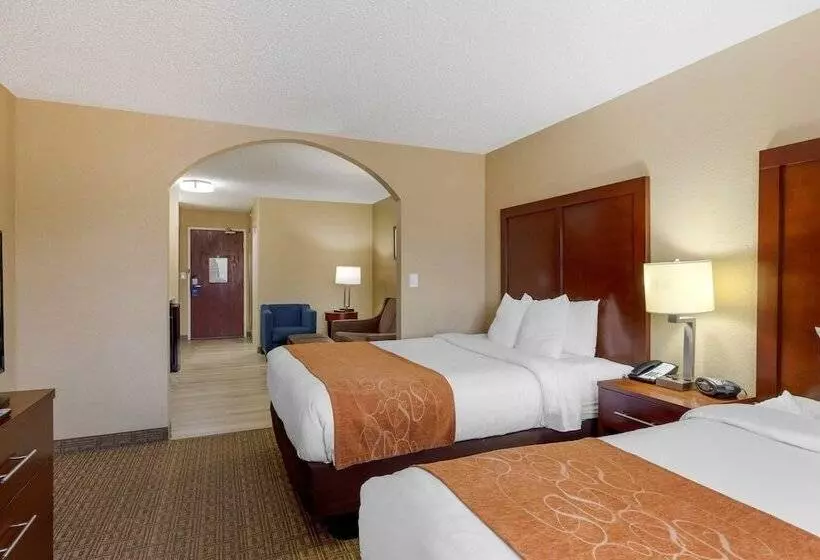 スイート, Comfort Suites Lakewood   Denver