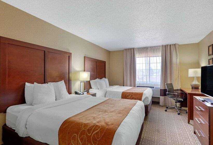 جناح, Comfort Suites Lakewood   Denver