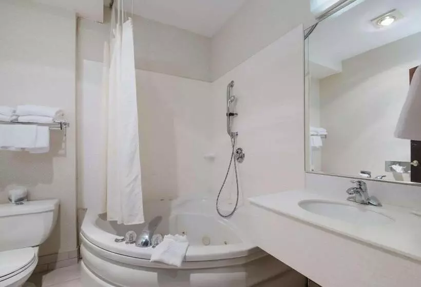 سوئیت با تخت بزرگ, Quality Inn Grand Suites Bellingham