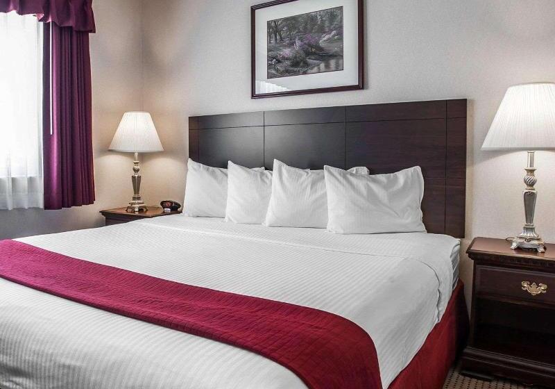 キングサイズベッドのスイートルーム, Quality Inn Grand Suites Bellingham