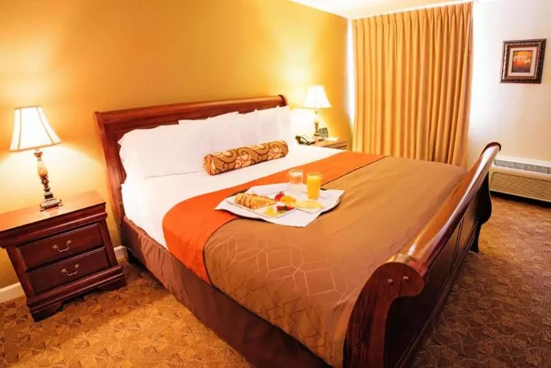 キングサイズベッドのスタンダードルーム, Village Inn Clemmons Winston Salem, Trademark By Wyndham