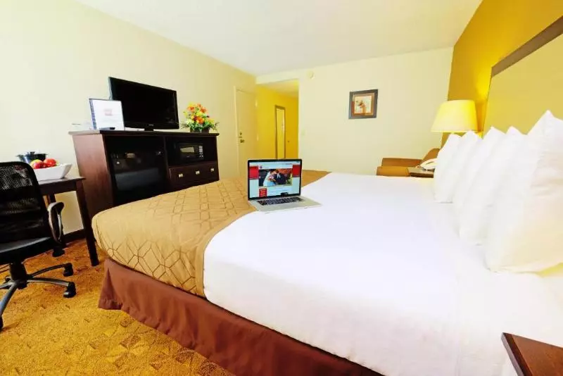 キングサイズベッドのスタンダードルーム, Village Inn Clemmons Winston Salem, Trademark By Wyndham