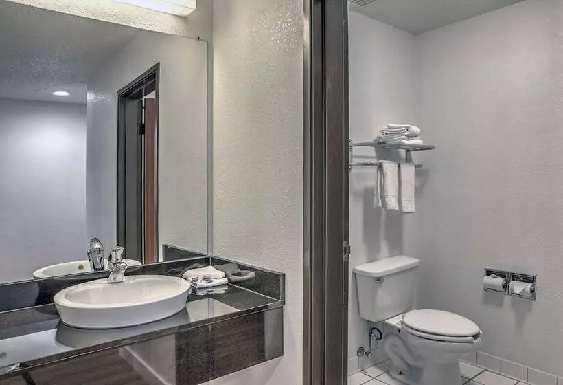 デラックススイート, Motel 6 Dallas, Tx  Northwest