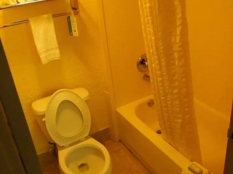 سوییت, Best Western Ft. Lauderdale I95 Inn