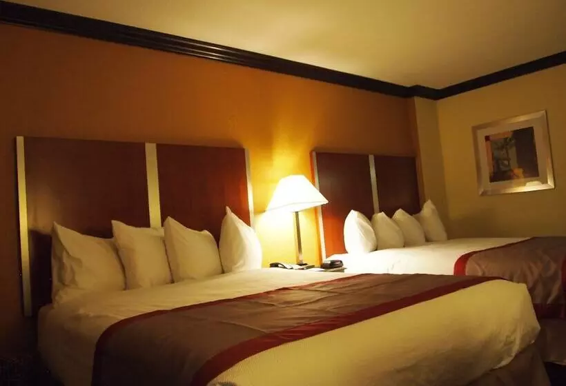 سوییت, Best Western Ft. Lauderdale I95 Inn