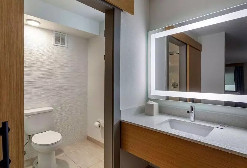 اتاق استاندارد با 2 تخت دوبل, Comfort Inn & Suites Nashville Downtown   Stadium