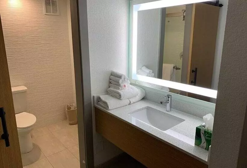 اتاق استاندارد با 2 تخت دوبل, Comfort Inn & Suites Nashville Downtown   Stadium