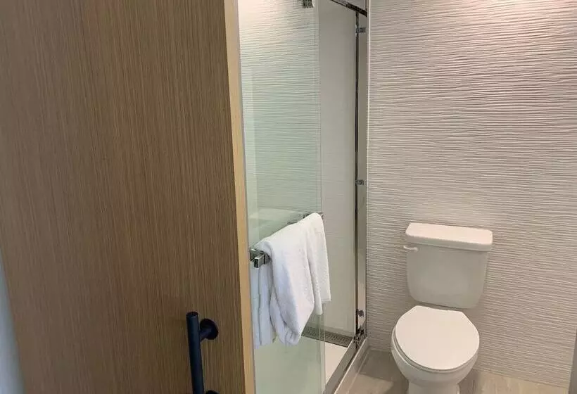 اتاق استاندارد با 2 تخت دوبل, Comfort Inn & Suites Nashville Downtown   Stadium