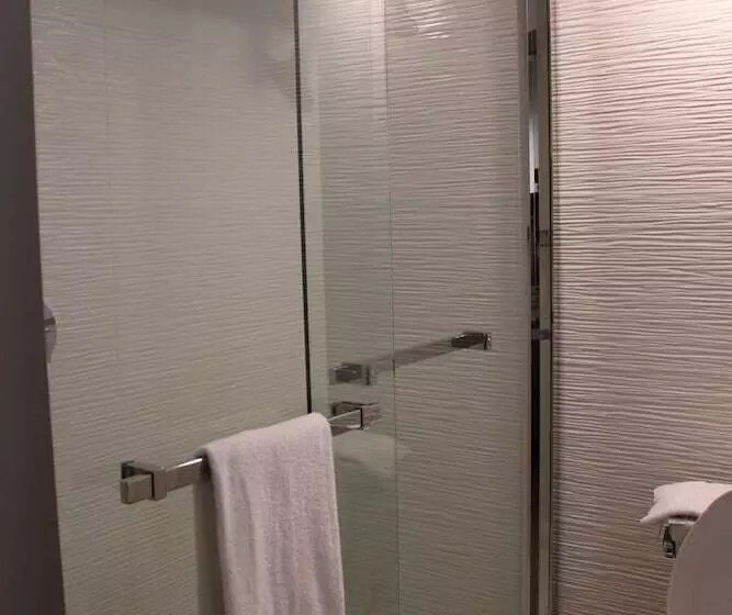 اتاق استاندارد با 2 تخت دوبل, Comfort Inn & Suites Nashville Downtown   Stadium