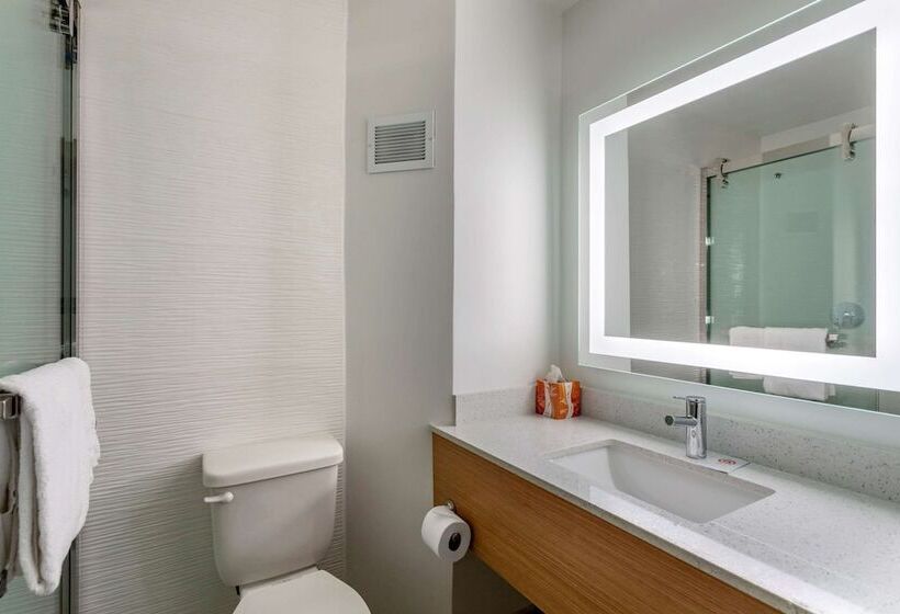 اتاق استاندارد با 2 تخت دوبل, Comfort Inn & Suites Nashville Downtown   Stadium