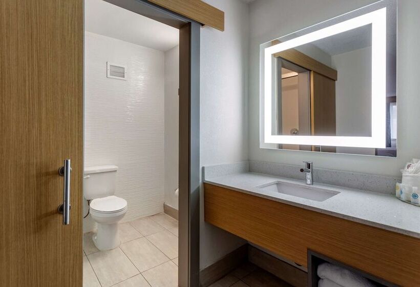 اتاق استاندارد با 2 تخت دوبل, Comfort Inn & Suites Nashville Downtown   Stadium