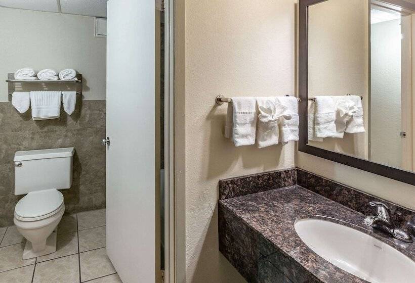 Люкс, Econo Lodge Inn & Suites