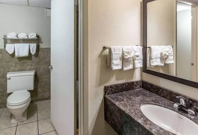 スイート, Econo Lodge Inn & Suites