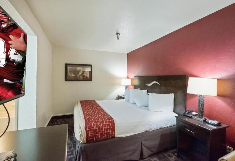 غرفة سوبيريور سرير كينج, Red Roof Inn Oklahoma Airport I 40 W Fairgrounds